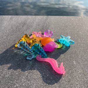 Sensus Lotus - Duikstenen Zeedieren | 10 Stuks